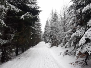 WhatsApp Image 2023-12-16 at 12.23.27.jpeg